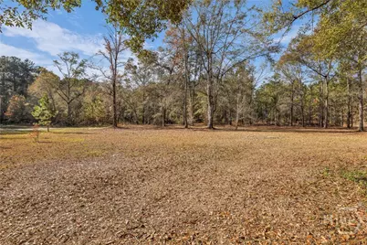 4931 Mill Branch Hunting Club Road, Nevils, GA 31321 - Photo 46