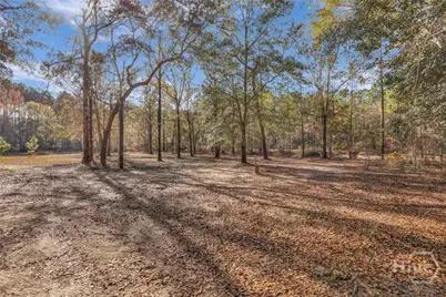 4931 Mill Branch Hunting Club Road, Nevils, GA 31321 - Photo 56