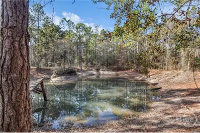 4931 Mill Branch Hunting Club Road, Nevils, GA 31321 - Photo 62