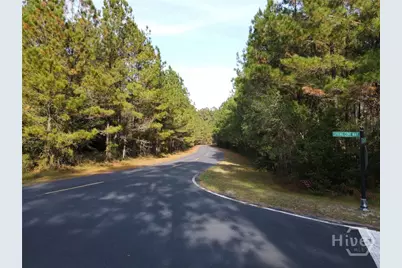 Lot 45 NE Marsh Way W, Townsend, GA 31331 - Photo 12