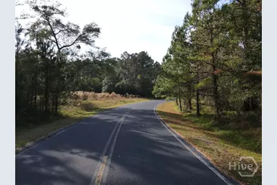 Lot 45 NE Marsh Way W, Townsend, GA 31331 - Photo 10