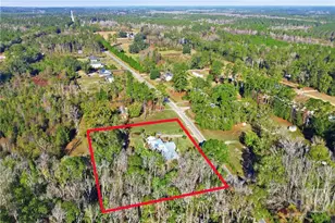 863 N Macon St, Ludowici, GA 31316 - Photo 46