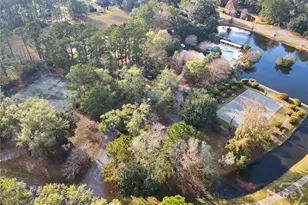 273 Shadow Moss Cir, Richmond Hill, GA 31324 - Photo 50