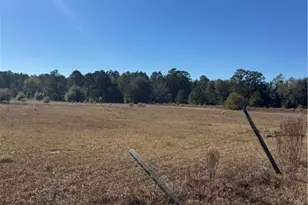 353 Wilder Rd, Allenhurst, GA 31301 - Photo 14