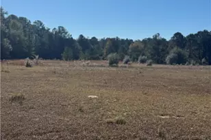 353 Wilder Rd, Allenhurst, GA 31301 - Photo 16