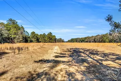 580 Old Gress Island Road, Midway, GA 31320 - Photo 16