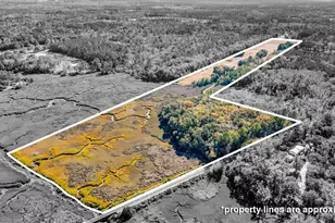 580 Old Gress Island Rd, Midway, GA 31320 - Photo 38