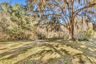 580 Old Gress Island Rd, Midway, GA 31320 - Photo 6