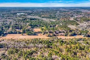 580 Old Gress Island Rd, Midway, GA 31320 - Photo 22