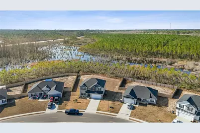 173 McClelland Loop NE, Ludowici, GA 31316 - Photo 6