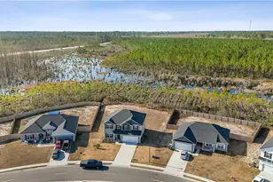 173 McClelland Loop NE, Ludowici, GA 31316 - Photo 6
