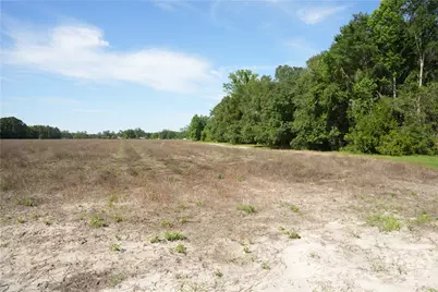 1800 Olive Branch Road, Ellabell, GA  - Photo 10