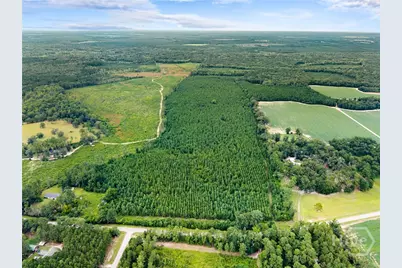 0 Old River Rd N, Statesboro, GA 30461 - Photo 14