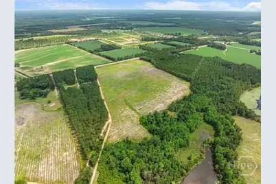 0 Hwy 301 N, Statesboro, GA 30458 - Photo 6