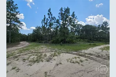 2 Acres Jones Road, Glennville, GA 30427 - Photo 2