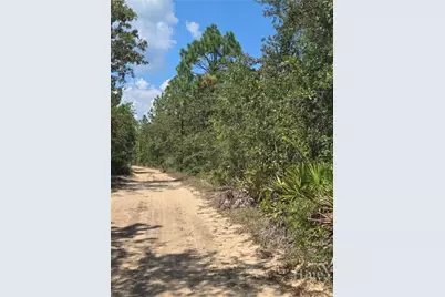 2 Acres Jones Road, Glennville, GA 30427 - Photo 6