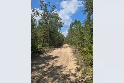 2 Acres Jones Road, Glennville, GA 30427 - Photo 4