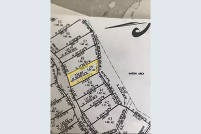 0 NE Coopers Point Drive NE #Lot 39, Townsend, GA 31331 - Photo 10