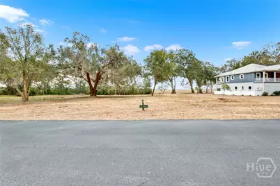 0 NE Coopers Point Drive NE #Lot 39, Townsend, GA 31331 - Photo 6