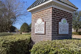 23 Lake Heron Ct W, Pooler, GA 31322 - Photo 46