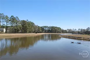 23 Lake Heron Ct W, Pooler, GA 31322 - Photo 50