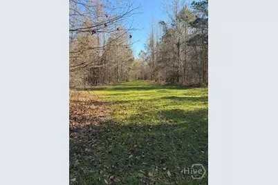 0 N. 119, Pembroke, GA 31321 - Photo 10