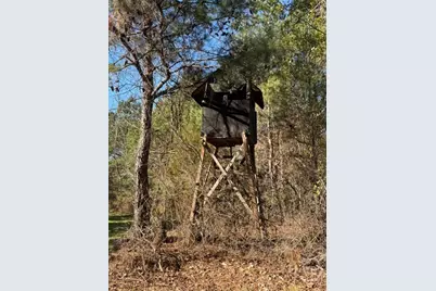 0 N. 119, Pembroke, GA 31321 - Photo 20
