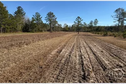 0 N. 119, Pembroke, GA 31321 - Photo 18