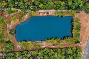 22103 Ga Hwy 144 E, Richmond Hill, GA 31324 - Photo 40