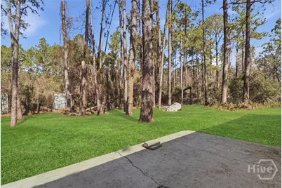 420 Pat Priester Drive NE, Ludowici, GA 31316 - Photo 24