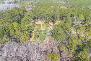 2429 Ga Hwy 119 N, Springfield, GA 31329 - Photo 8