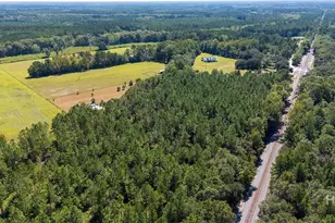 215 Lorenzo Hurst Rd, Springfield, GA 31329 - Photo 52
