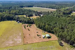 215 Lorenzo Hurst Rd, Springfield, GA 31329 - Photo 50