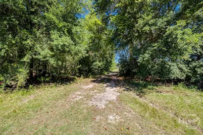 215 Lorenzo Hurst Road, Springfield, GA 31329 - Photo 44