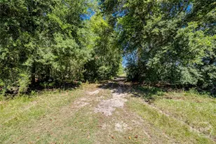 215 Lorenzo Hurst Rd, Springfield, GA 31329 - Photo 44