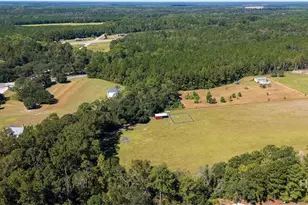 215 Lorenzo Hurst Rd, Springfield, GA 31329 - Photo 48