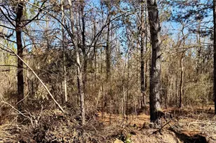 850 O F Lanier Rd, Pembroke, GA 31321 - Photo 24