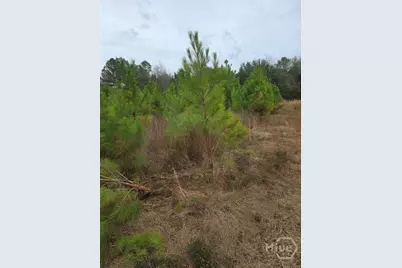 861 Brinson Road, Brooklet, GA 30415 - Photo 4