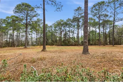 208 Timberline Road, Statesboro, GA 30461 - Photo 60