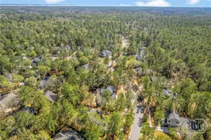 310 W Blackjack Oak Dr, Richmond Hill, GA 31324 - Photo 52
