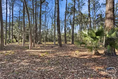 501 Wau Bun Drive, Savannah, GA 31419 - Photo 40