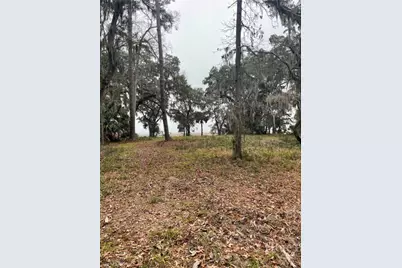 2050 Belle Hammock Road NE, Townsend, GA 31331 - Photo 1