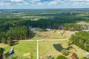670 Pleasant Hill Church Rd, Ellabell, GA 31308 - Photo 44
