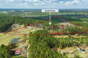 614 Pleasant Hill Church Rd, Ellabell, GA 31308 - Photo 50
