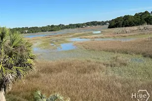 18 Egrets Nest Dr, Savannah, GA 31406 - Photo 16