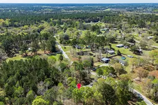 230 Pine Needle Dr, Ellabell, GA 31308 - Photo 40