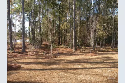 247 Sonoma Drive, Pooler, GA 31322 - Photo 30