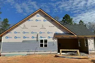 879 SE Stafford Dairy Rd, Ludowici, GA 31316 - Photo 14