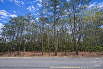 19805 Ga Highway 144, Richmond Hill, GA 31324 - Photo 2