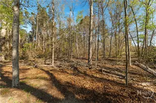 1569 Pond View Rd, Metter, GA 30439 - Photo 64